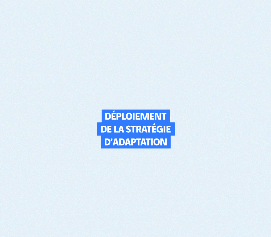 animation déploiement de la stratégie d'adaptation