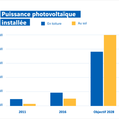 Graphique