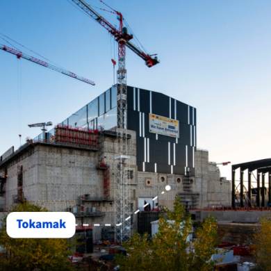 visuel Tokamak