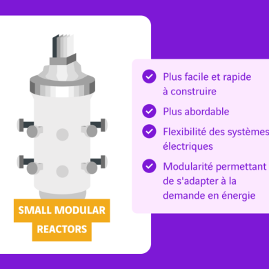 schéma petit réacteur nucléaire