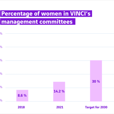 schéma graphique femmes comités de direction chez VINCI