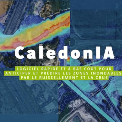 Caledonia