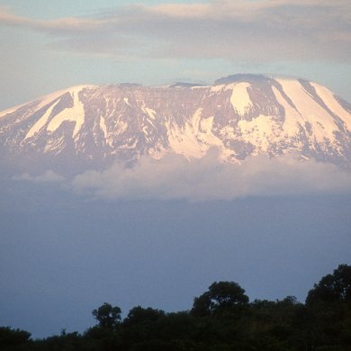neige sur le Kilimandjaro