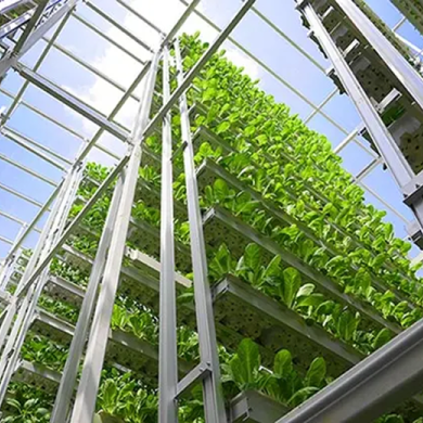 visuel ferme verticale à Singapour