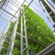 visuel ferme verticale à Singapour