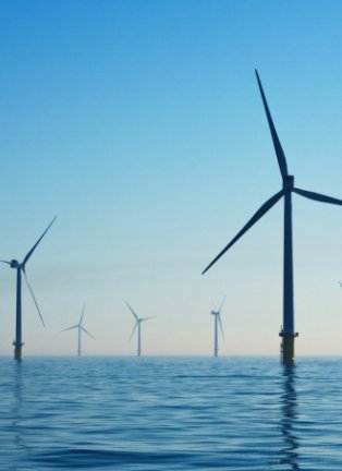 Champ éolien offshore