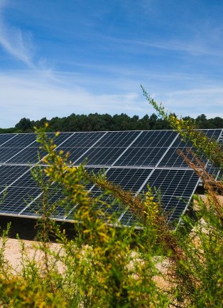 Panneaux solaires dans un champ