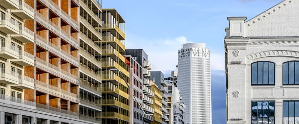 Universeine