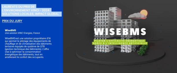 WiseBMS