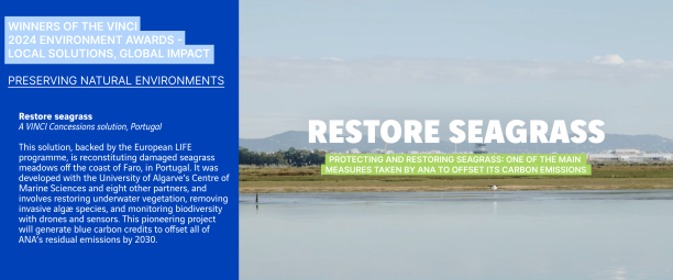 visuel restaurer les herbiers marins