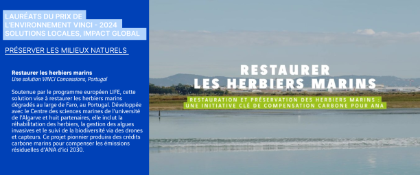 visuel restaurer les herbiers marins