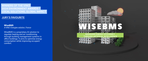 WiseBMS
