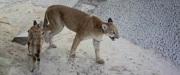 reconnecter la nature