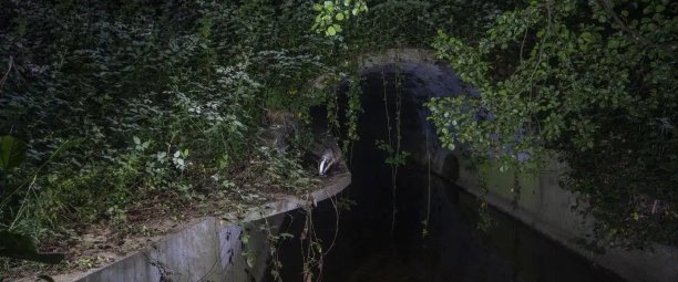 reconnecter la nature