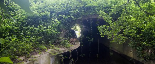 reconnecter la nature