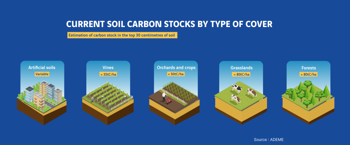 Diagram of carbon storage by soil type