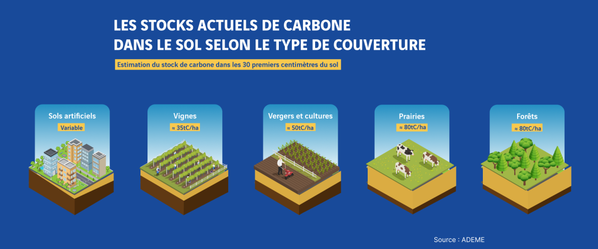 Schéma des quantités de carbone stockés par type de sol