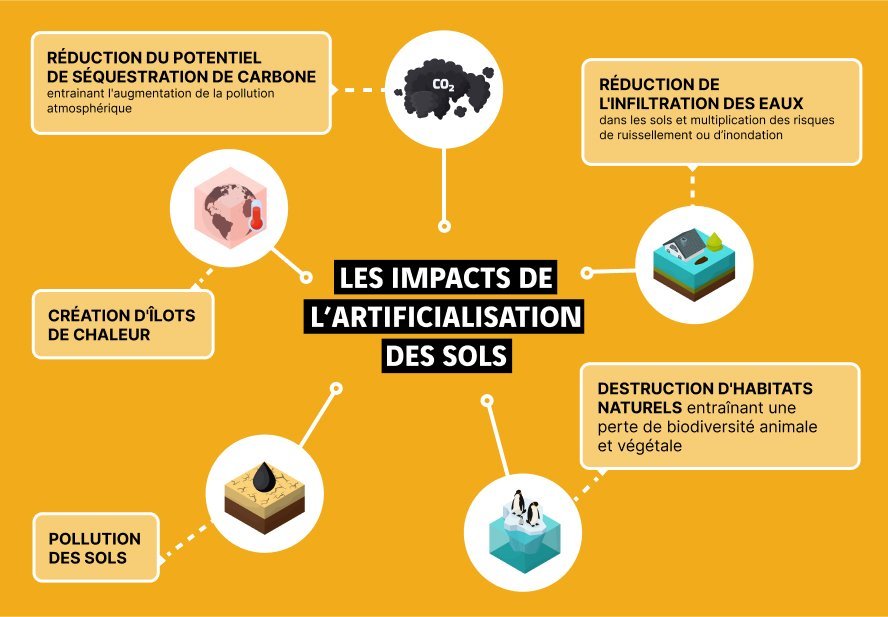 Schéma de l'impact de l'artificialisation des sols