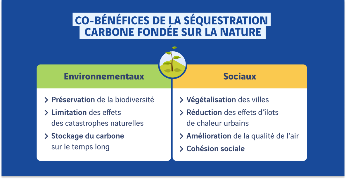 schema des co benefices environnementaux et sociaux de la sequestration carbone