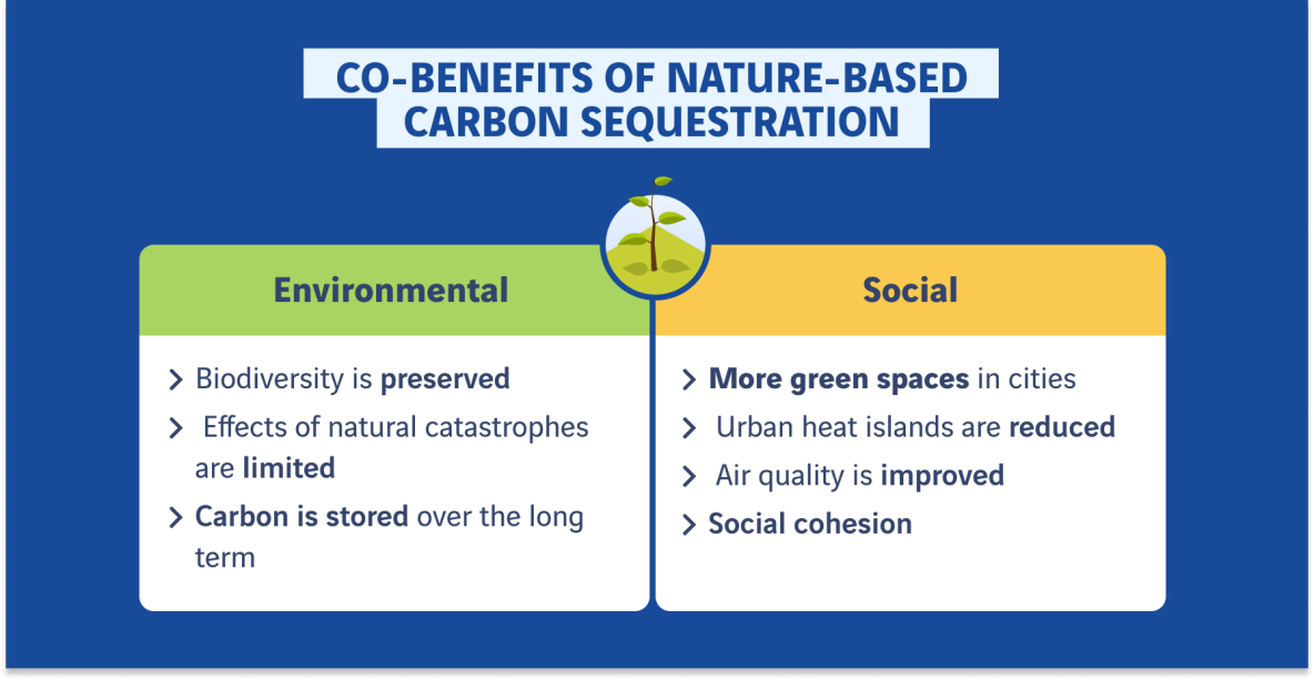 sequestration carbon benefits