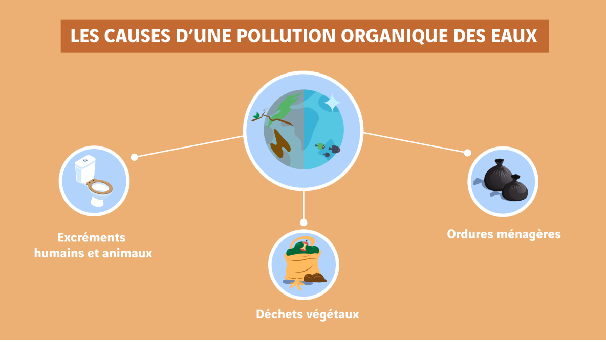 Schéma des causes de la pollution de l'eau