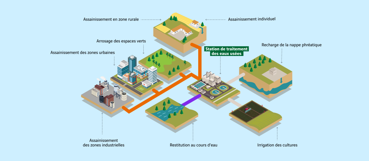 Schéma de l'équilibre bactériologique des fleuves