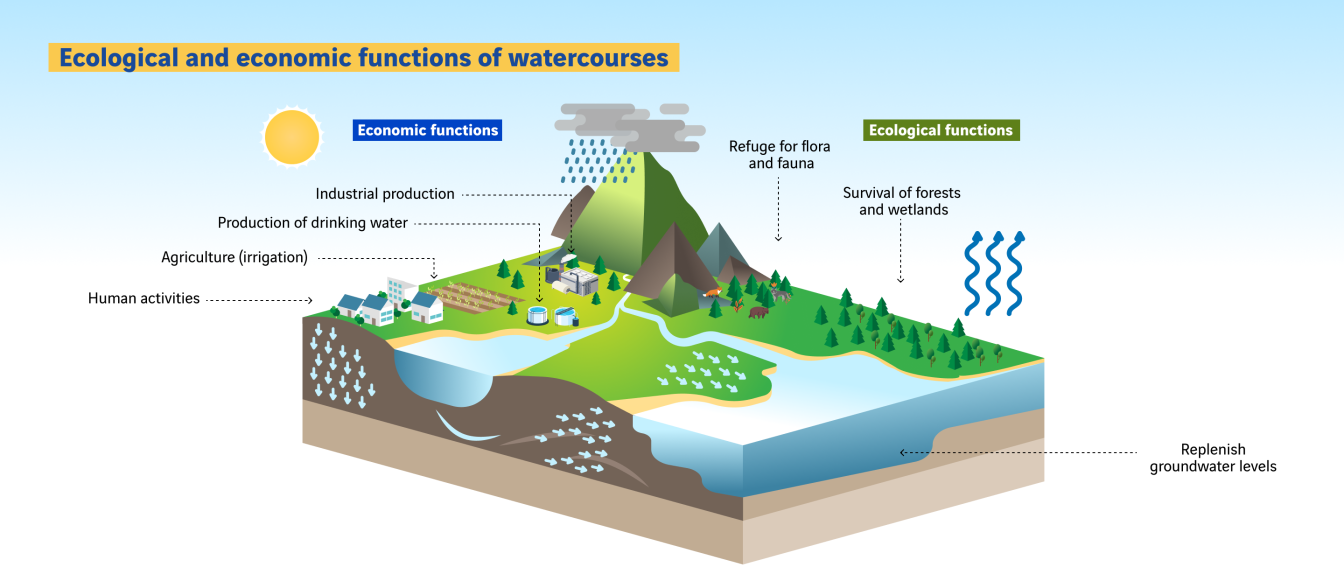 Schéma des fonctions d'un cours d'eau