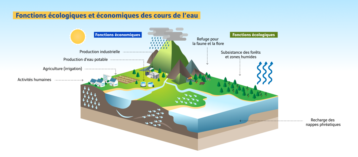 Schéma des fonctions d'un cours d'eau