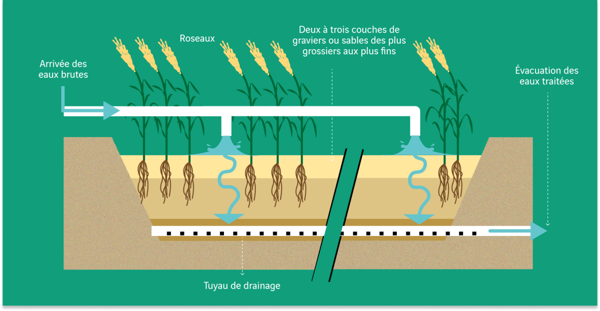 Schéma de la lutte contre la pollution des eaux