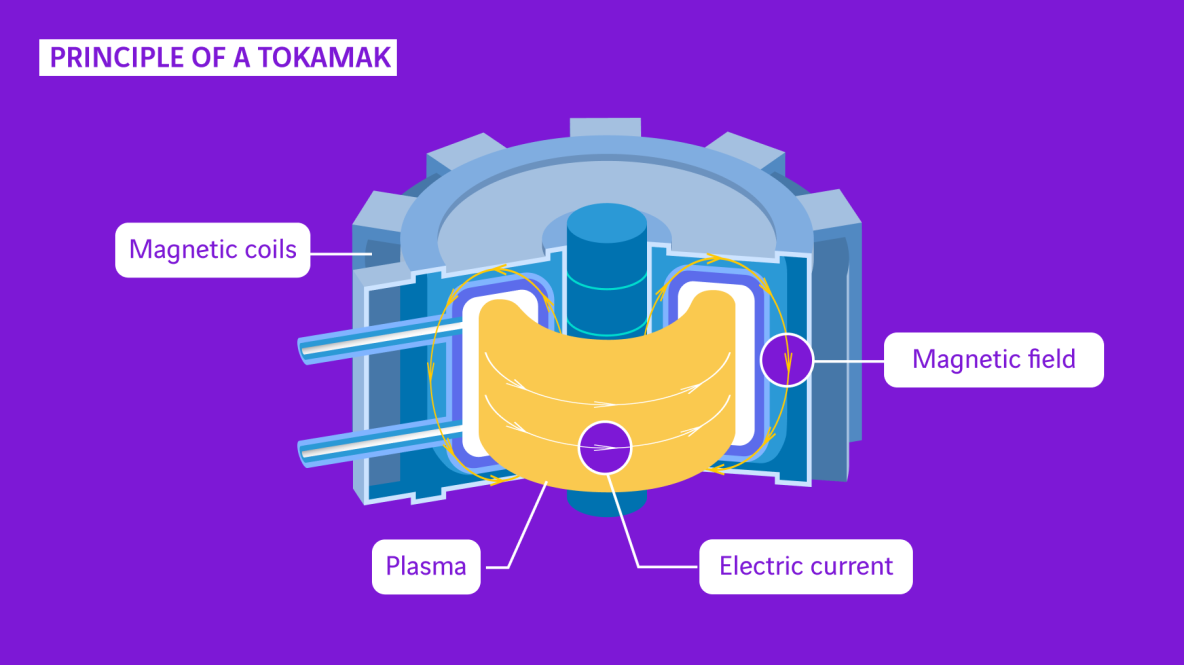 schéma tokamak