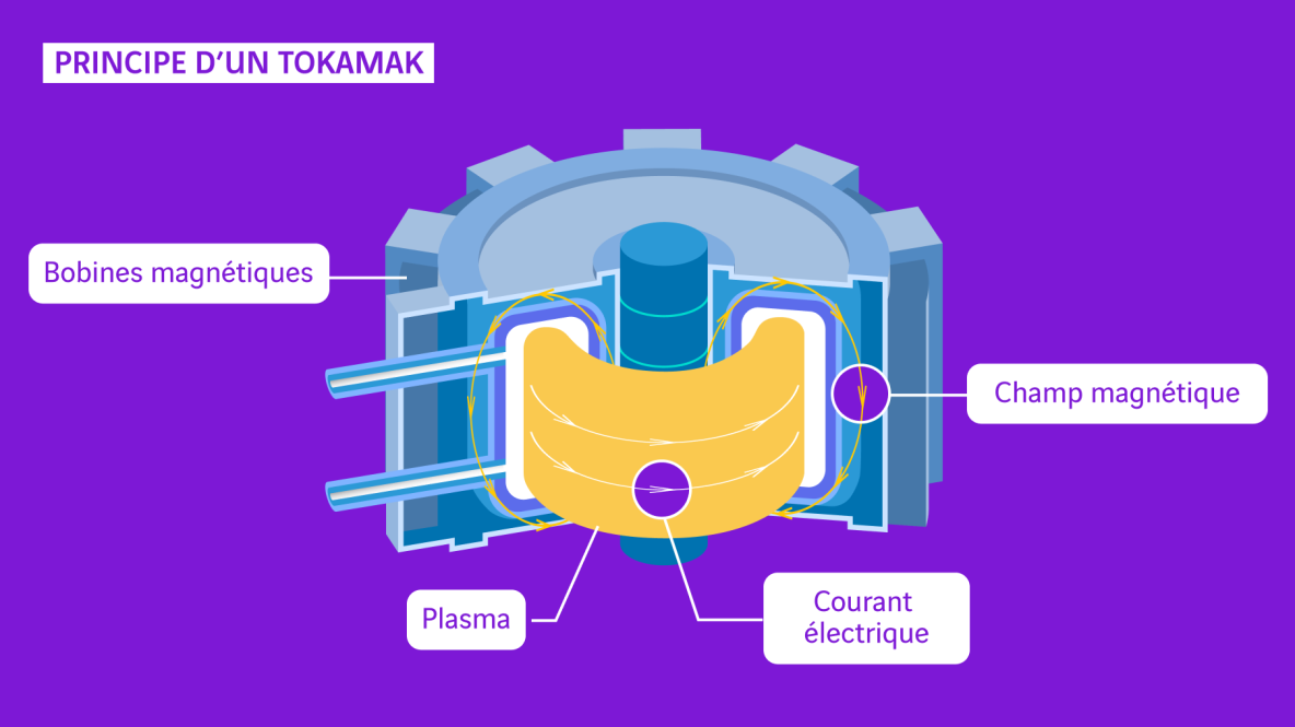 schéma tokamak