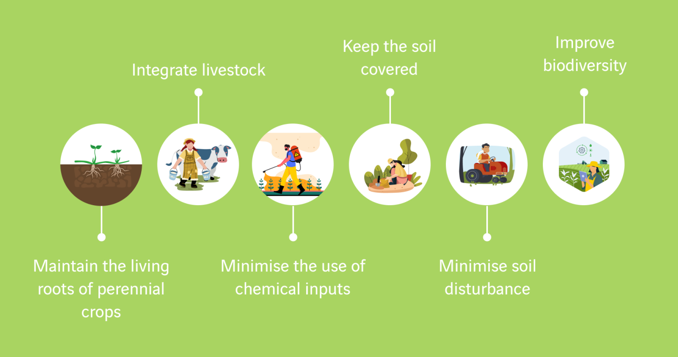 illustration agriculture dégénérative