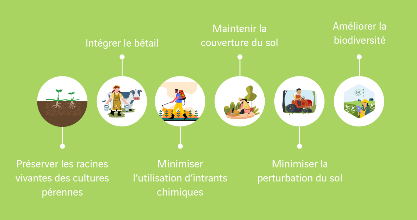 illustration agriculture dégénérative