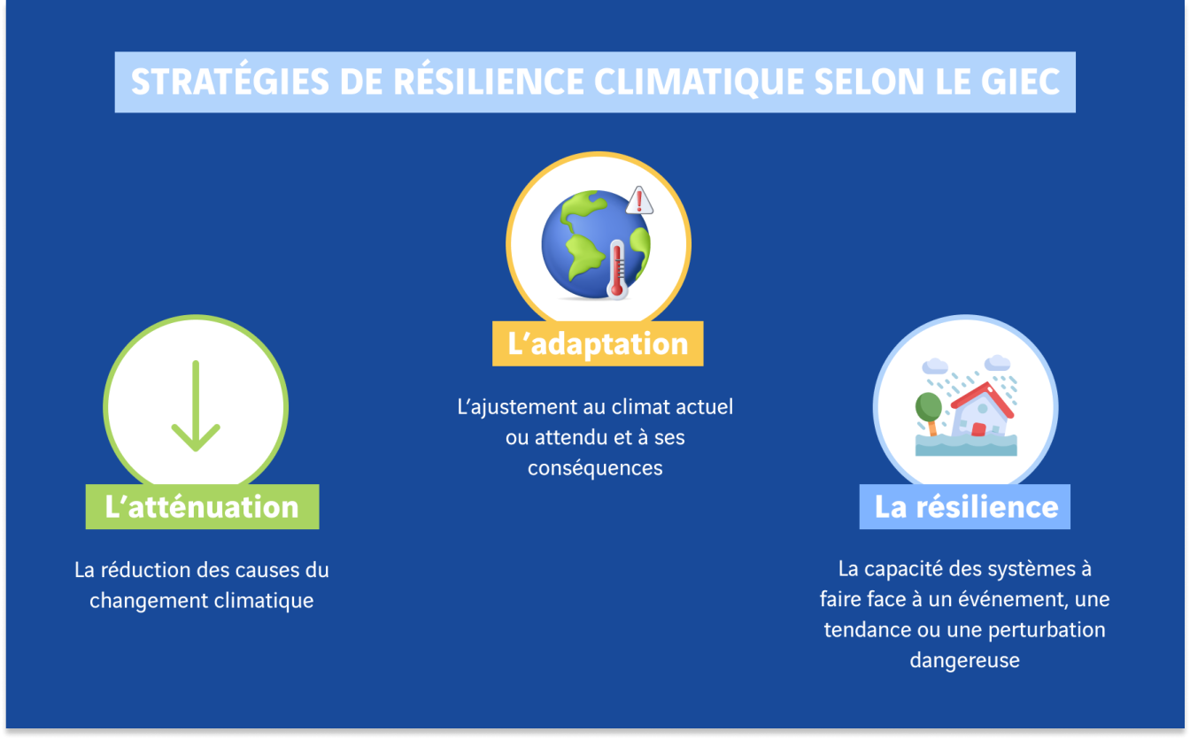 schéma stratégies de résilience climatique selon le GIEC