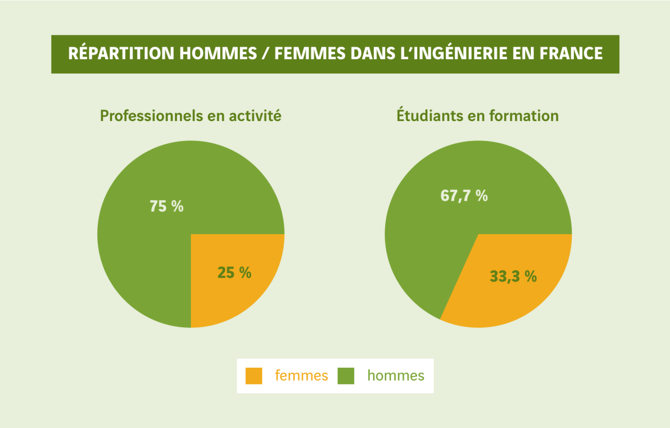 schéma répartition hommes femmes dans l'ingénierie en France