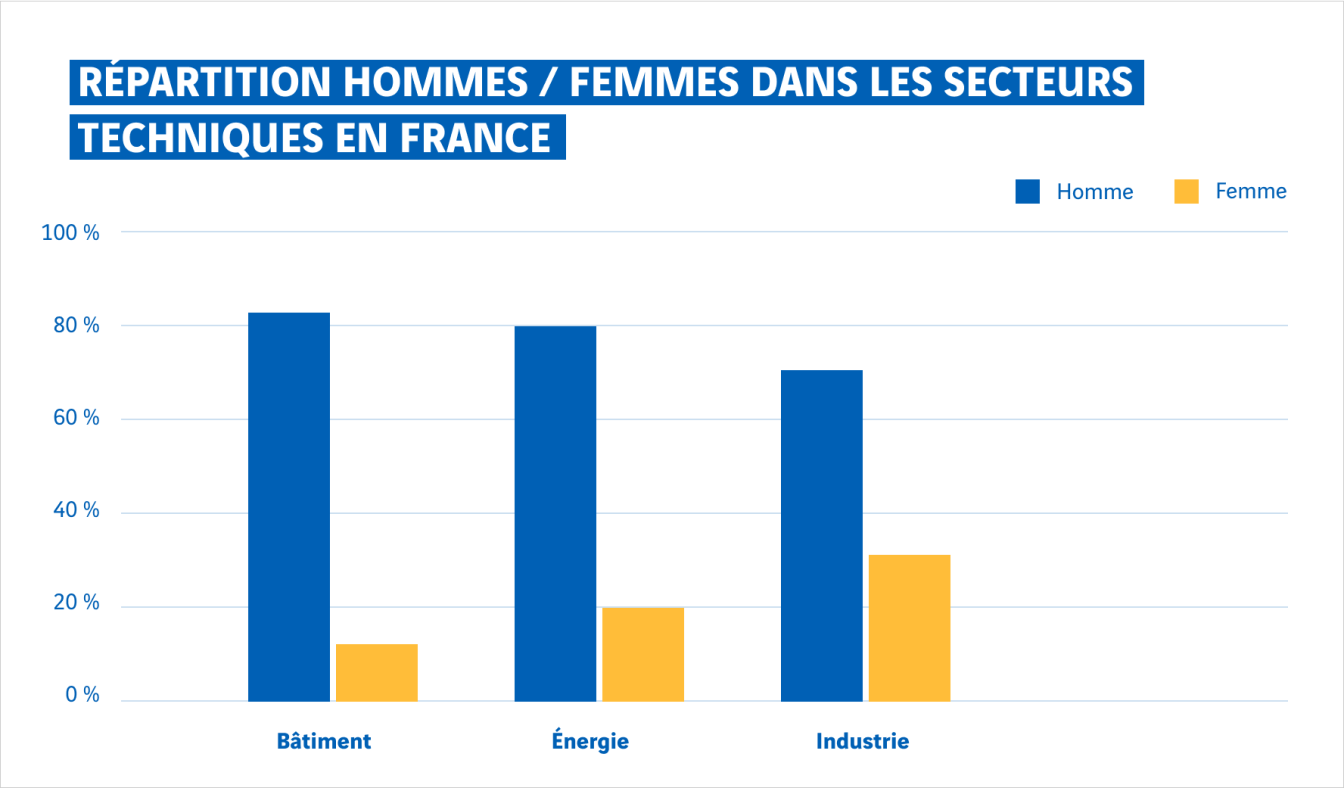 graphique répartition hommes femmes