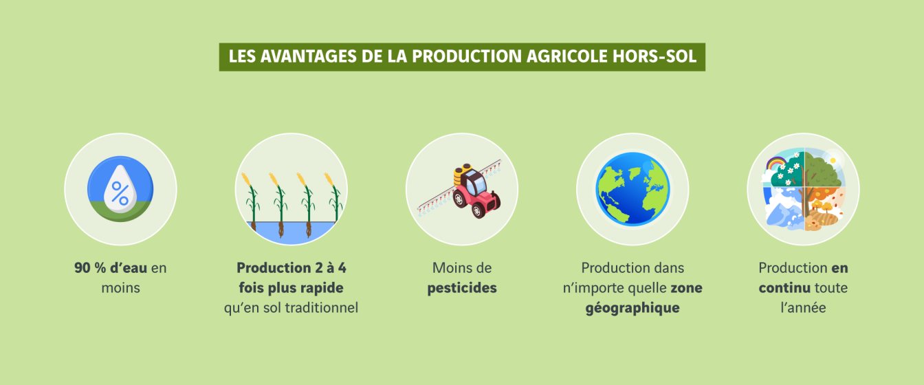 schéma avantages de la production agricole hors sol