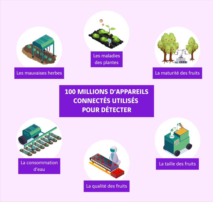 schéma appareils connectés pour détecter dans les fermes