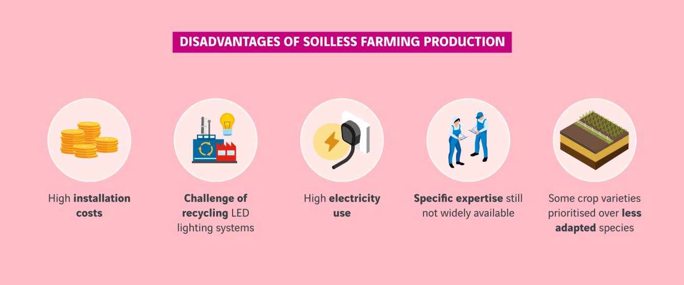 schéma inconvénients de la production agricole hors sol