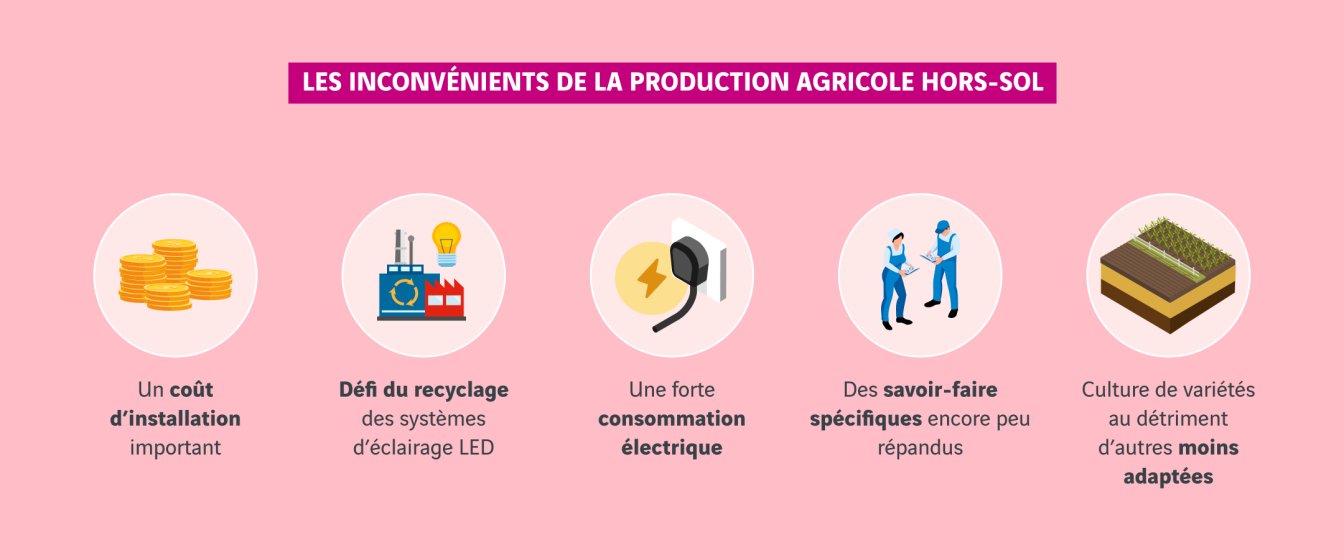 schéma inconvénients de la production agricole hors sol