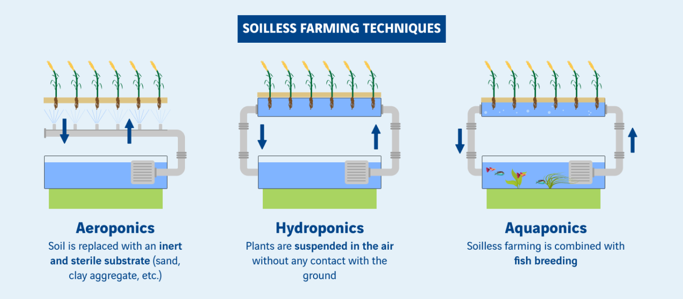 schéma techniques de l'agriculture hors sol