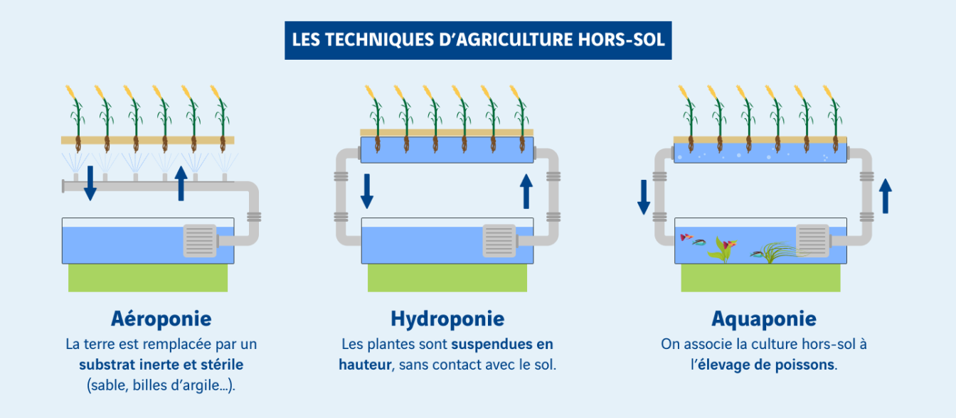 schéma techniques de l'agriculture hors sol
