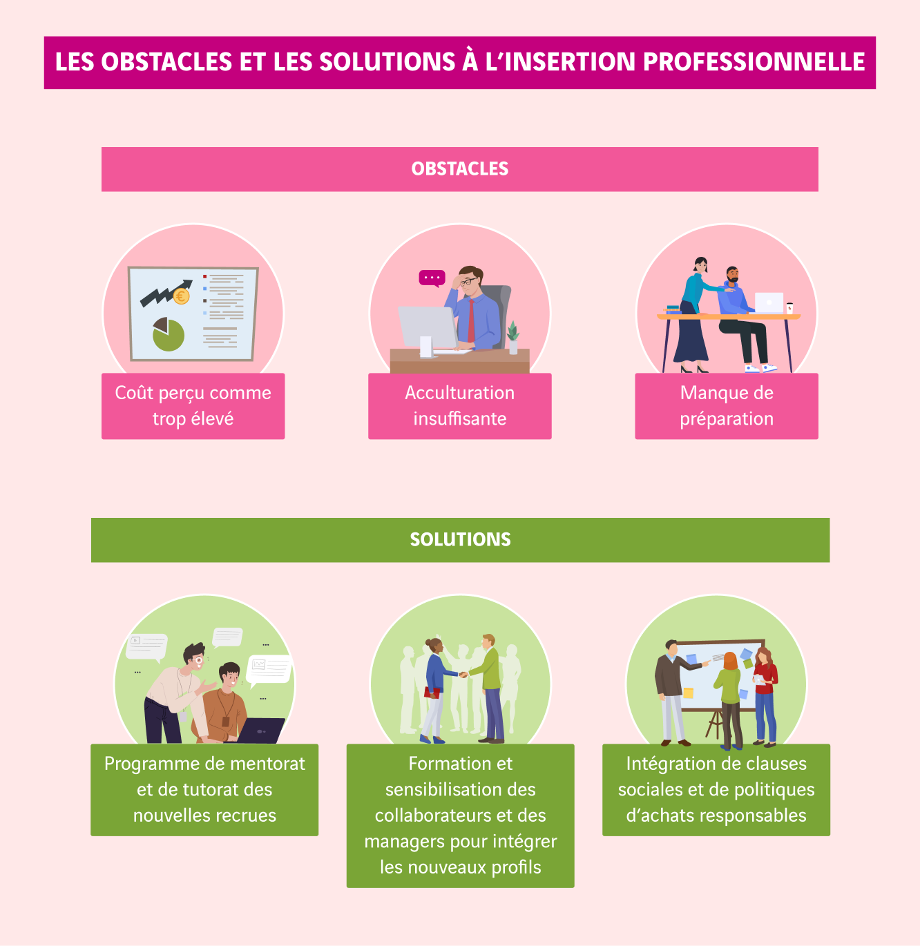 schéma obstacles et solutions pour faciliter l'insertion professionnelle
