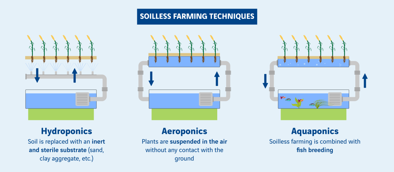 schéma techniques de l'agriculture hors sol