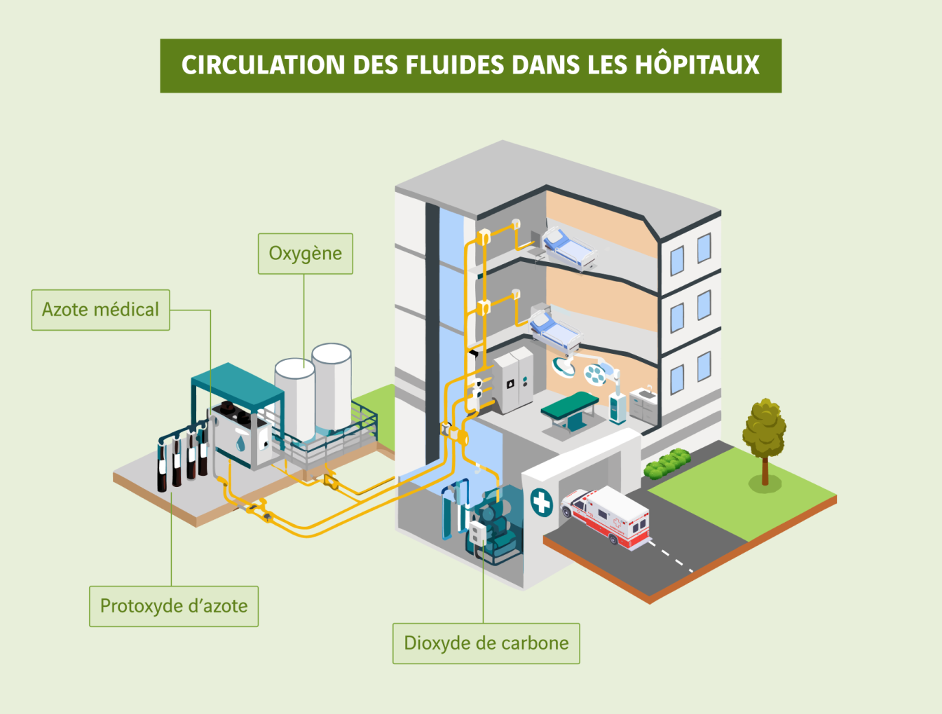 schéma circulation des fluides dans les hôpitaux