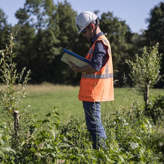 La construction du contournement ouest de Strasbourg fait l’objet de mesures environnementales sans précédent pour la protection de la biodiversité.