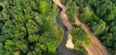 Le réseau VINCI célèbre la Journée mondiale de l’environnement