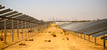 Inauguration de la plus grande centrale solaire du Sahel