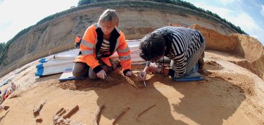 Découverte d’un vestige humain du pré-Néandertalien à Tourville-la-Rivière