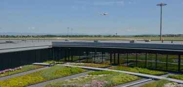 Aéroports de Lyon accrédité « carbone neutre »